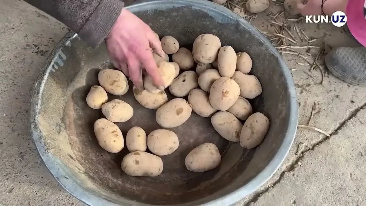 O‘zbekiston 5 yillik maqsadlarini e’lon qildi